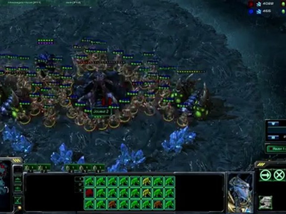 la zealot connection