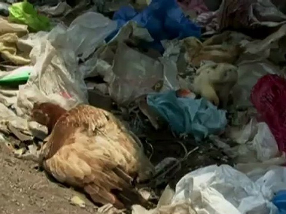 Al Jazeera Frames - Cemetery People