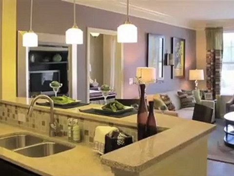 The Regency at John's Creek Walk Apartments in Johns ...