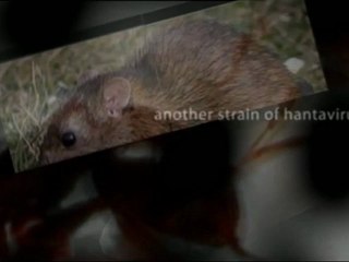 pest control anaheim hills