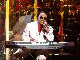 Stevie wonder I Just Call To say I Love You  Par Fernand