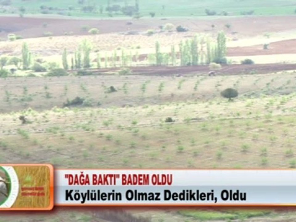 “DAĞA BAKTI” BADEM OLDU 24 05 2012