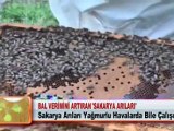 BAL VERİMİNİ ARTIRAN ‘SAKARYA ARILARI’ 24 05 2012