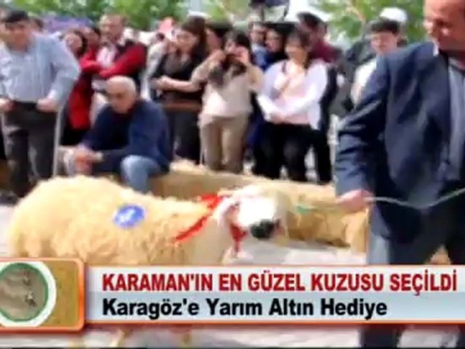 KARAMAN’IN EN GÜZEL KUZUSU SEÇİLDİ 25.05.2012