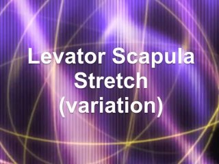 Levator Scapula Stretch (variation) - Chair Massage Techniques with Eric Brown