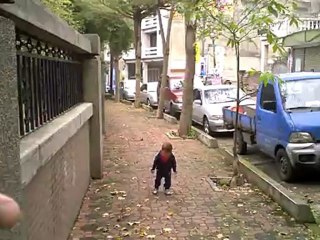 Tour Details - Son and Dogs update - TT5