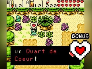 [WT] Zelda OOS Bonus  - Les fragments de coeurs