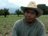 Mexican volcano rumbles on