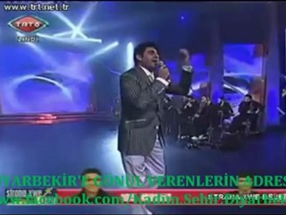 ŞEYHMUS ESENKUŞ - DALDALANIM - BAHÇADA YEŞİL ÇINAR - DAYE