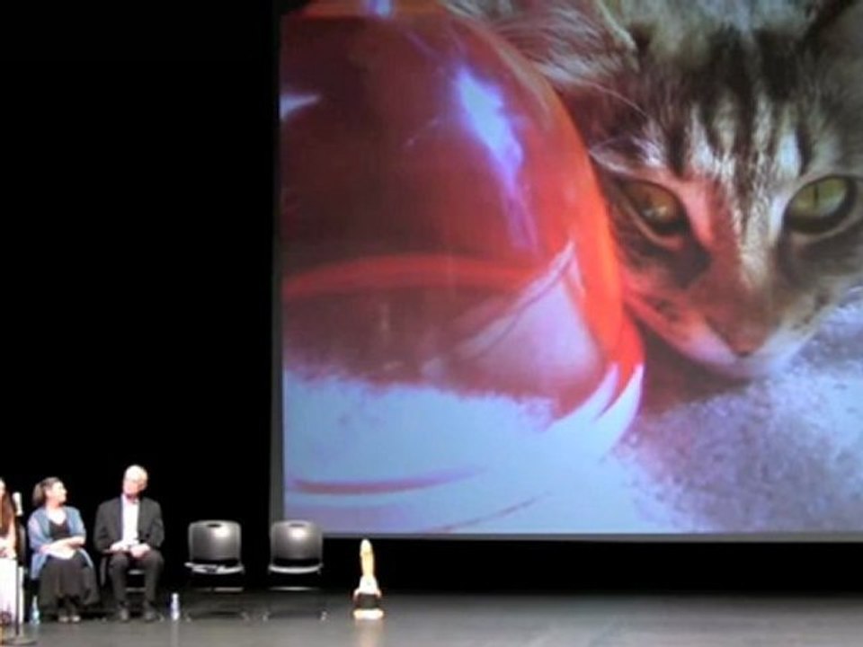 Anita Shannon Massage Therapy Hall of Fame Inductee 2011 (Ace Massage Cupping)