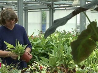 Inauguration des serres municipales