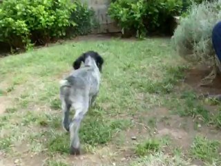 BEBES ENTRAINEMENT LE 25 MAI