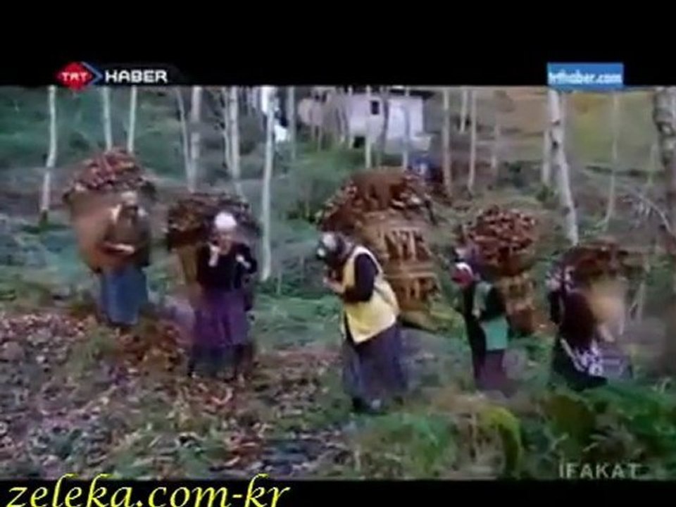 çaykara-ifakat- ucuruma yuruyen kadinlar -2