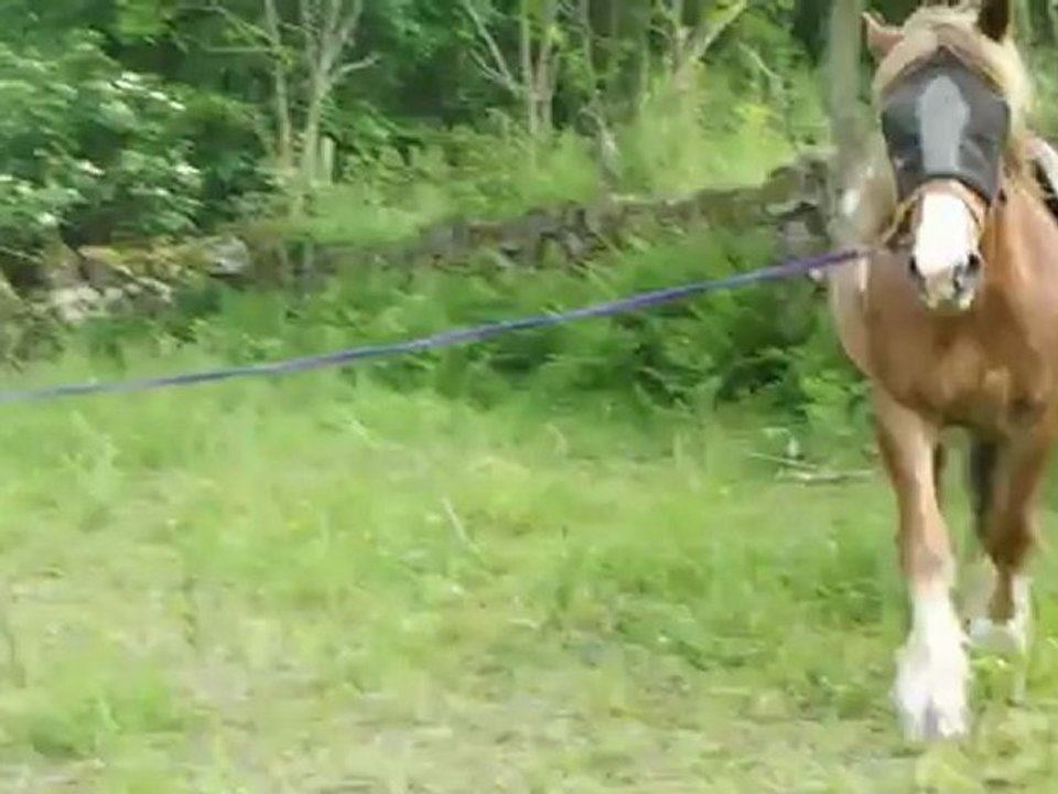 Ugo Longe trot