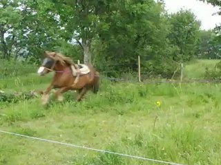 Ugo longe Galop