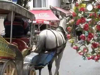 Los carruajes de las islas Princesas de Estambul pueden...