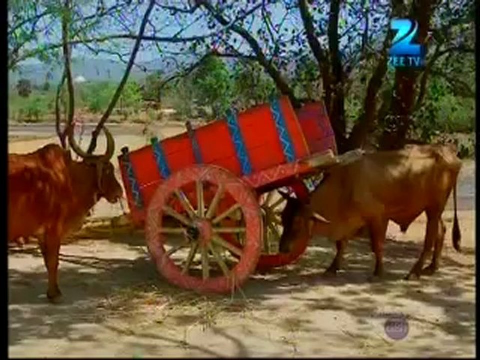 PSH 25th May DesiRippers