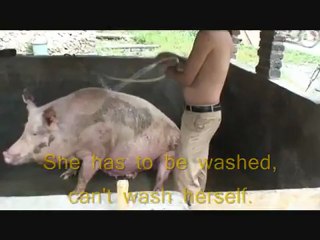 sesliyar.com Muratttttttt kımi sıkıyorrrrrrrr herzamankı farki adam olacaksın amına kodummmmmmm yavsahı az netden uzak durduk dıye oyunnnnn hemi ulan bu alemde oyun ben baslatır ben bozarımmmmmmmmm sapıkkkkkkk kavat seniiiiiiii amına klodummmm