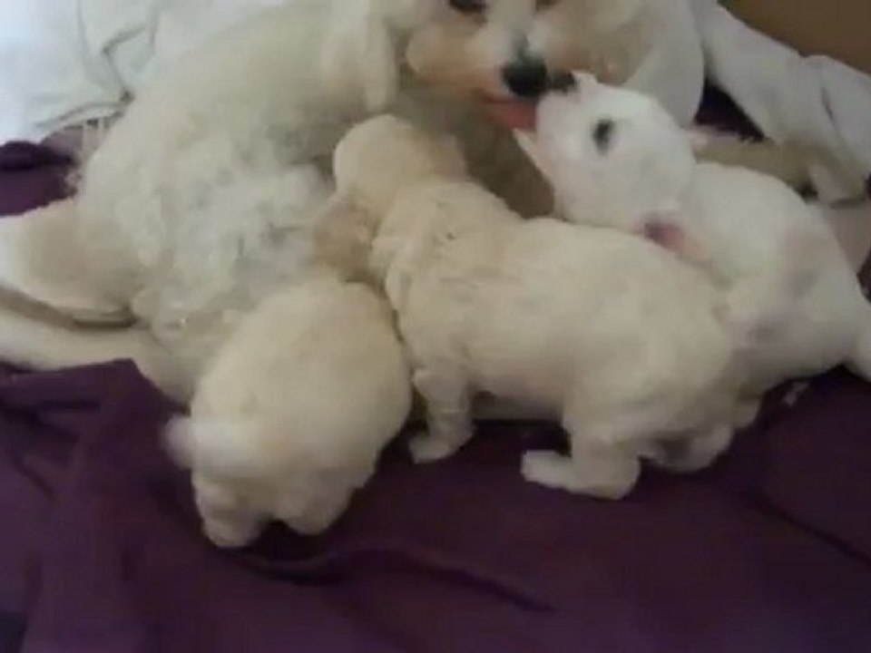 wendy et ses bebes