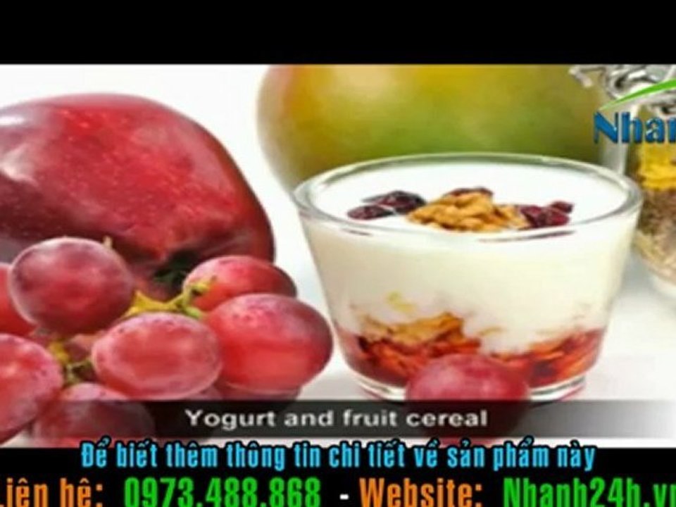may lam sua chua Anan Yoyourt maker An-16
