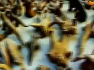 Драконы. Звездная раса