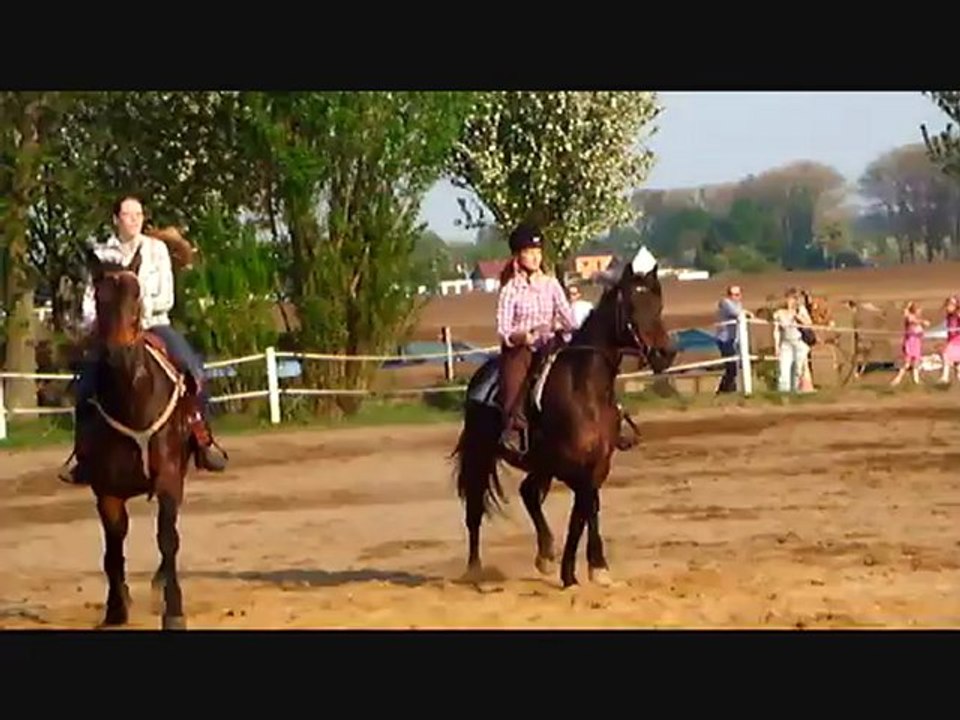 Trabervorstellung 2011