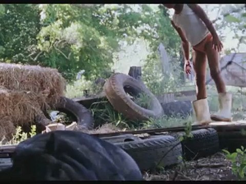 LES BETES DU SUD SAUVAGE - Bande-annonce VO