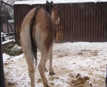 близкие отношения