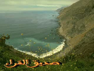 مدرسة صديق القراء لتعليم النغم مقام اللامي