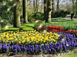 Árva Falevél - Zene