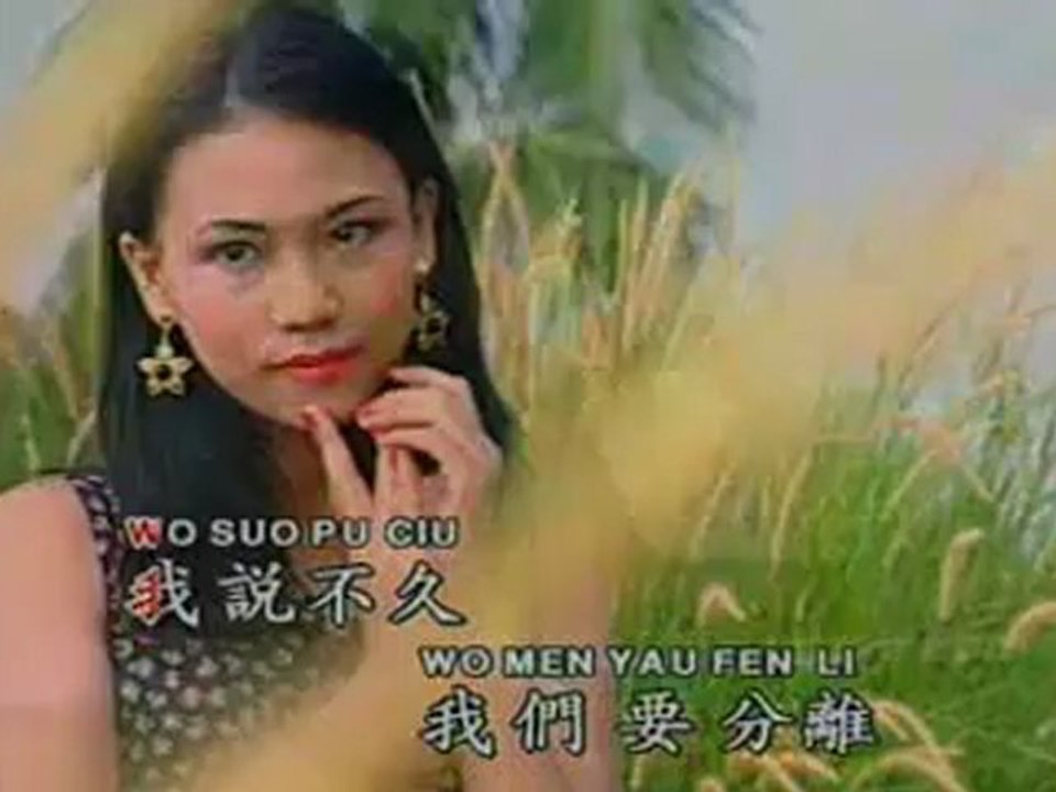 林淑容： 说声对不起