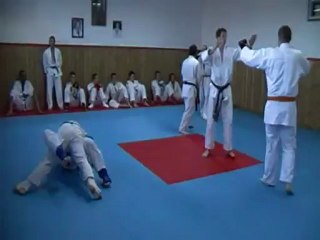 Jujitsu Rollin Philippe