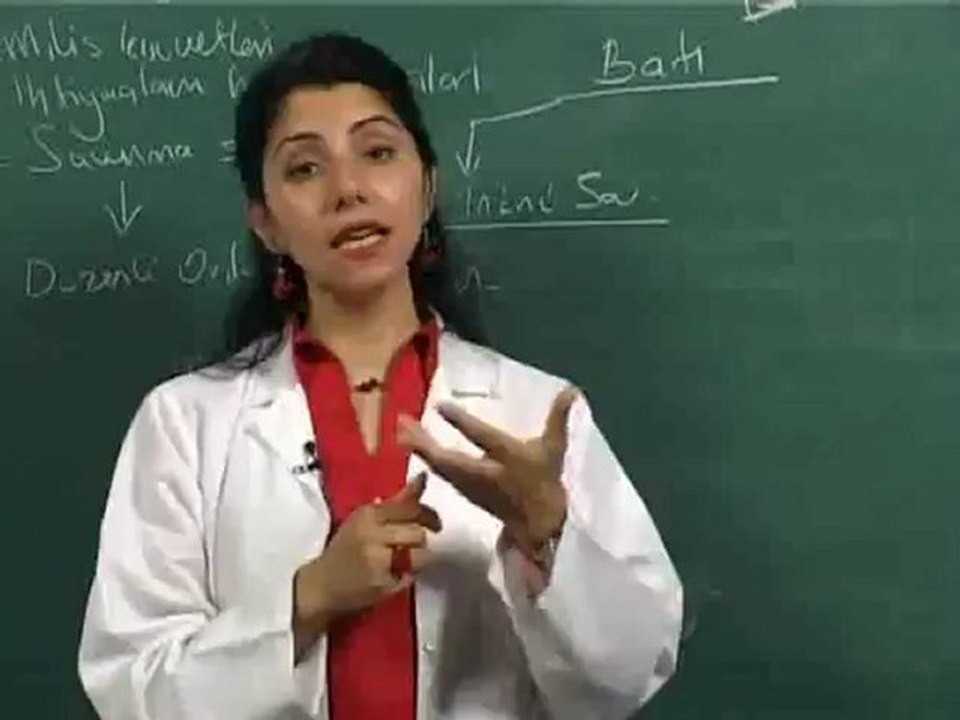 19-Kurtuluş Savaşı Siyasi Görüşmeler 1