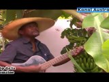 SOLOFA NOËL - Racine Tamarin (île de la Réunion) : Clip de la semaine sur Kanal Austral