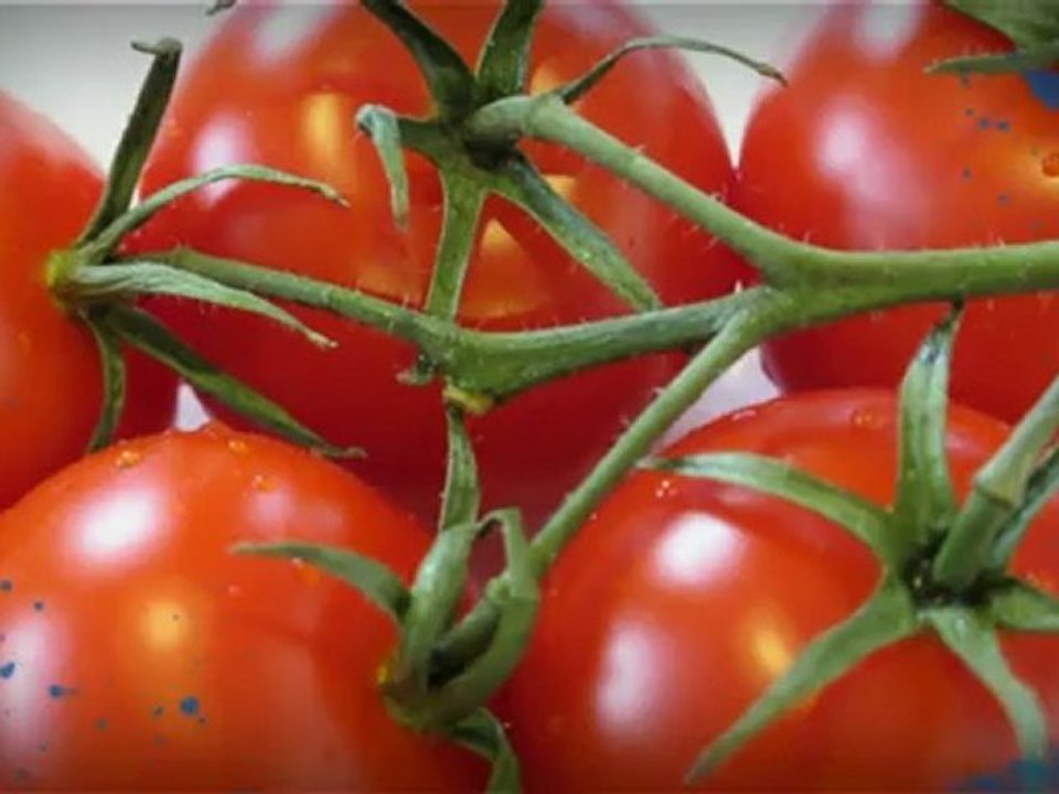 Hydroponics Halifax | Grow Room Odor Control