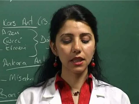 20-Kurtuluş Savaşı Siyasi Görüşmeler 2