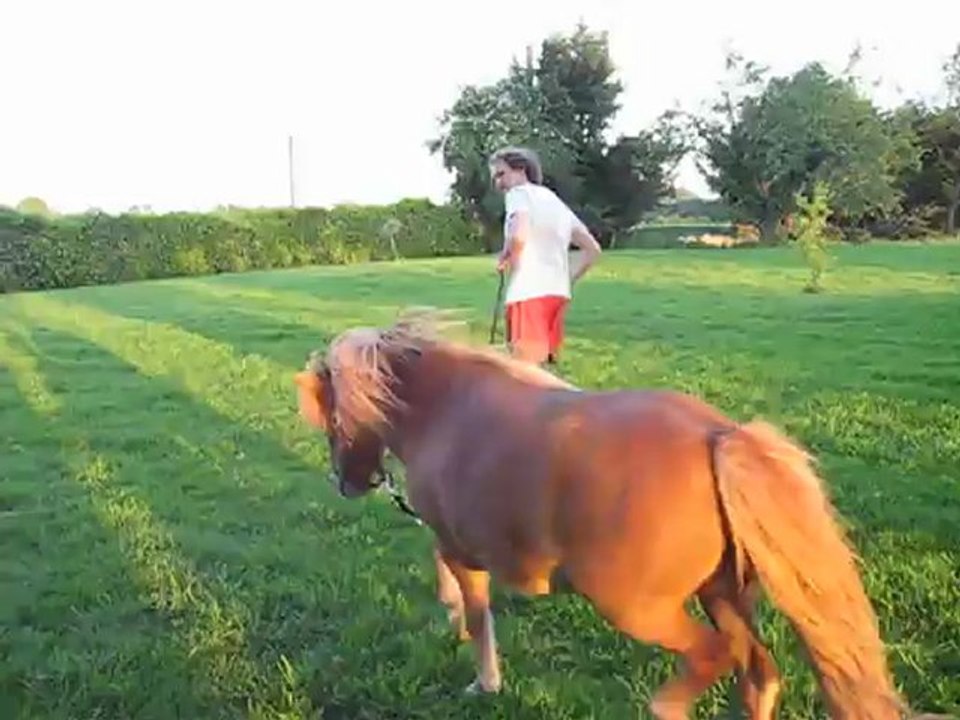 Plein pot galop !