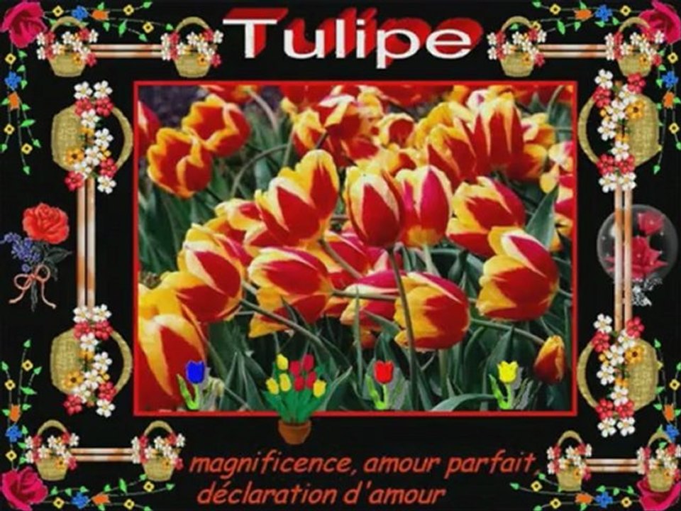 Le langage des fleurs 2...