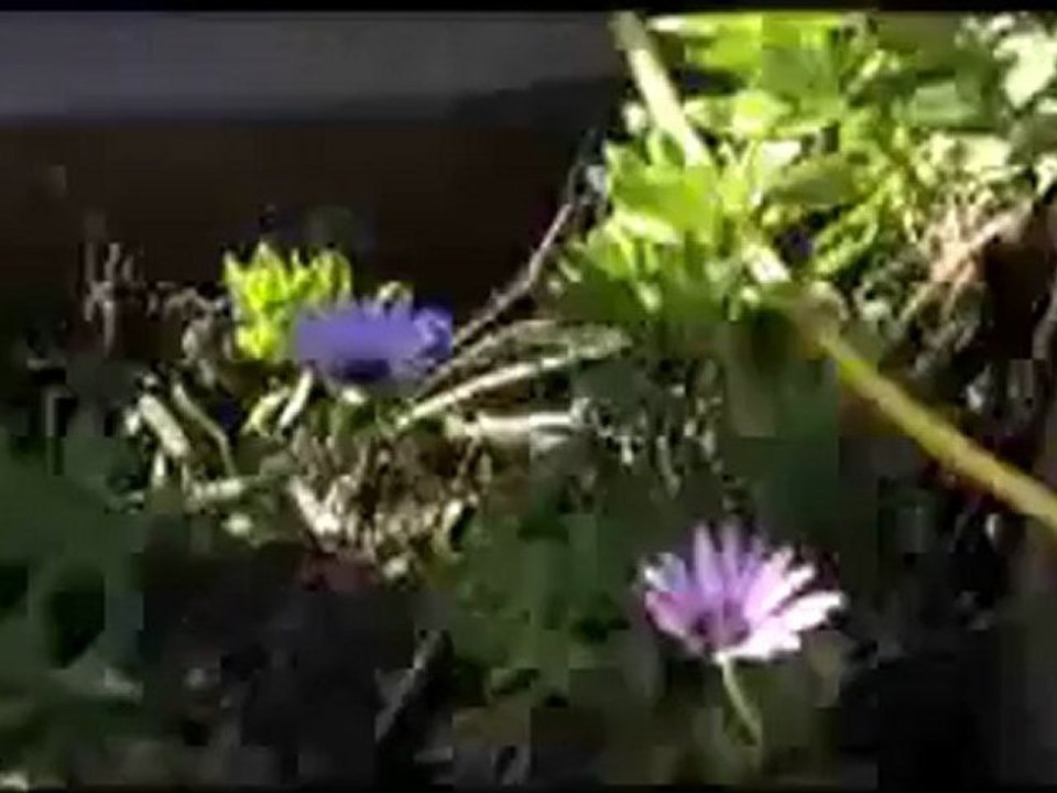 Lisa Edelstein photoshoot for Prevention Magazine (Behind the Scenes and Interview)