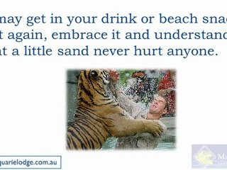 Why you should visit Noosa