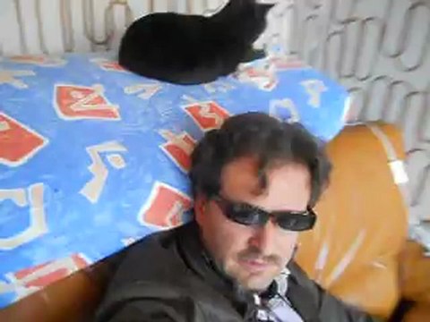 mode vendange 5 embres et castelmaure et roquefort des corbieres feuilla et buggarach