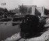 Považská lesná železnica  (Týždeň vo filme, ČSFT 29/1952, železničná časť, SK)