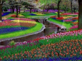 SENİN VARLIĞINDIR EN GÜZEL ŞİİR