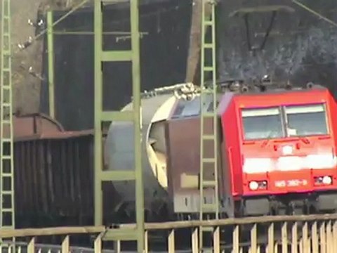 Züge bei Braubach am Rhein, BR155, BR145, 3x BR185, BR152, BR427, BR428