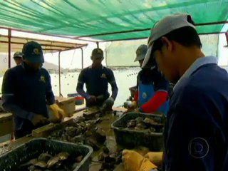 Globo Repórter - Dubai Miragem no deserto - 24.05.2012 - Parte 04