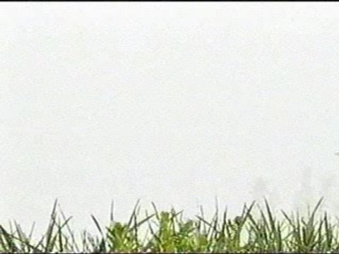 Juanes et Nelly Furtado - Fotografia