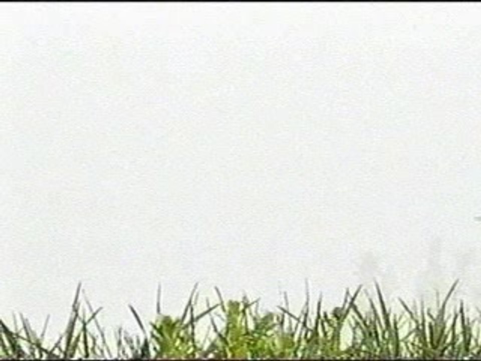 Juanes et Nelly Furtado - Fotografia