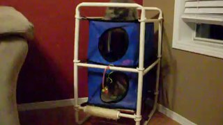 pvc elevated cat hammock
