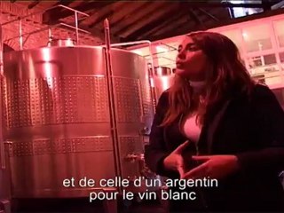 EA2010 - Terres de vignes et d'aventure - Argentine