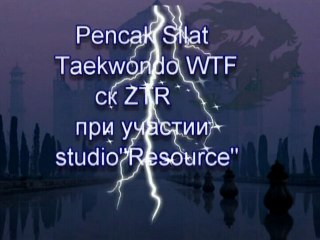 Школа единоборств ск ZTR